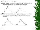 Projektinis darbas “Trikampiai” 11 puslapis