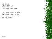 Projektinis darbas “Trikampiai” 17 puslapis