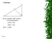 Projektinis darbas “Trikampiai” 20 puslapis