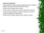 Projektinis darbas “Trikampiai” 3 puslapis