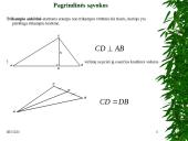 Projektinis darbas “Trikampiai” 4 puslapis