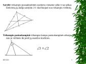 Projektinis darbas “Trikampiai” 5 puslapis