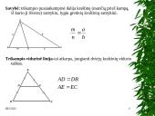 Projektinis darbas “Trikampiai” 6 puslapis