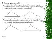 Projektinis darbas “Trikampiai” 9 puslapis