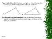 Projektinis darbas “Trikampiai” 10 puslapis