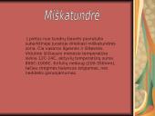 Tundra ir miškatundrė 17 puslapis