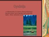 Tundra ir miškatundrė 19 puslapis