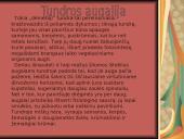 Tundra ir miškatundrė 10 puslapis