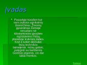 Žymiausi ugnikalniai 2 puslapis