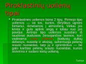 Žymiausi ugnikalniai 11 puslapis