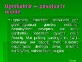 Žymiausi ugnikalniai 20 puslapis