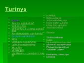 Žymiausi ugnikalniai 3 puslapis