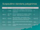 Vaizdo suspaudimas ir vaizdo suspaudimo principai 9 puslapis