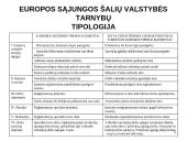 Valstybės tarnyba Europos sąjungoje 4 puslapis