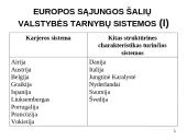 Valstybės tarnyba Europos sąjungoje 7 puslapis