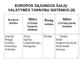 Valstybės tarnyba Europos sąjungoje 8 puslapis