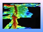 Vandenynų vidurio kalnagūbriai 2 puslapis