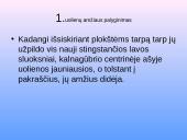 Vandenynų vidurio kalnagūbriai 12 puslapis