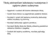 Veiklos vertinimas: metinis vertinimo pokalbis 11 puslapis