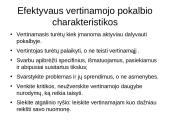 Veiklos vertinimas: metinis vertinimo pokalbis 14 puslapis