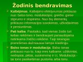 Verbalinis bendravimas ir neverbalinis bendravimas 4 puslapis