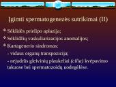 Vyrų nevaisingumas 5 puslapis