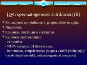 Vyrų nevaisingumas 8 puslapis