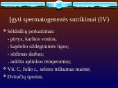 Vyrų nevaisingumas 9 puslapis