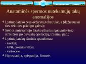 Vyrų nevaisingumas 10 puslapis