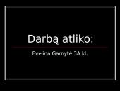 Žana D'Ark (1412-1431)  17 puslapis