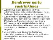 Žemės ūkio bendrovės. Kooperatinės bendrovės 19 puslapis