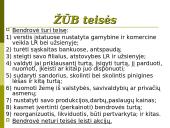 Žemės ūkio bendrovės. Kooperatinės bendrovės 4 puslapis