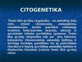 Žemės ūkio gyvūnų citogenetika 2 puslapis