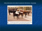 Žemės ūkio gyvūnų citogenetika 15 puslapis