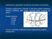 Žemės ūkio gyvūnų citogenetika 7 puslapis