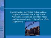 Žydų genocidas 4 puslapis