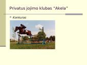 Žirgų sportas 12 puslapis