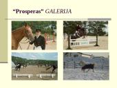 Žirgų sportas 4 puslapis