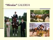 Žirgų sportas 6 puslapis