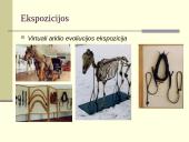 Žirgų sportas 9 puslapis