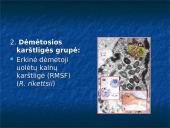 Žmonių riketsiozės 12 puslapis