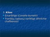 Žmonių riketsiozės 14 puslapis