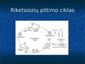 Žmonių riketsiozės 7 puslapis