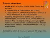 Žuvų ikrai 4 puslapis