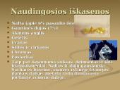 Afrikos žemynas 11 puslapis