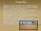 Afrikos žemynas 8 puslapis