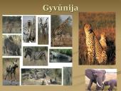 Afrikos žemynas 9 puslapis