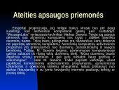 Virusai bei antivirusinės programos 18 puslapis