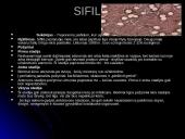 Lytiškai plintančios ligos: AIDS 17 puslapis