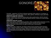 Lytiškai plintančios ligos: AIDS 19 puslapis